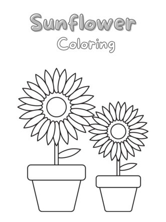 Sunflower Coloring